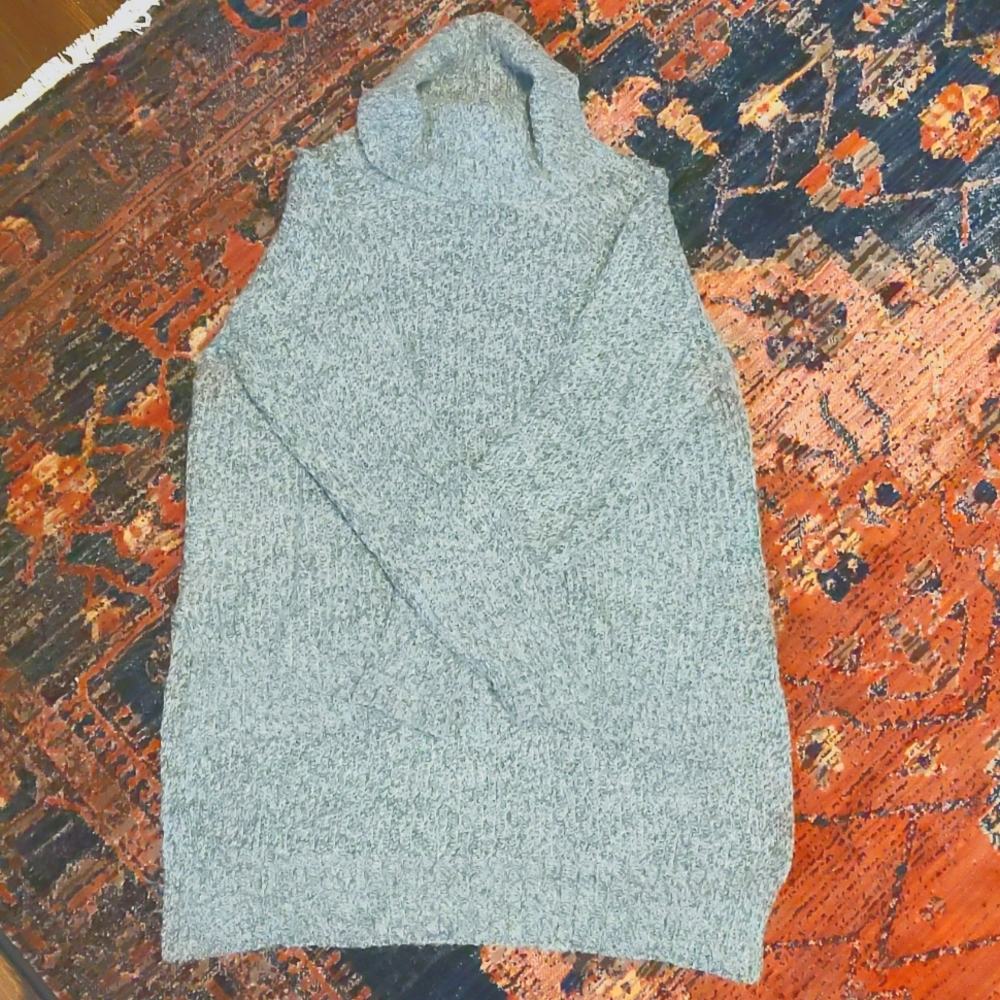 Express turtle neck sweater
